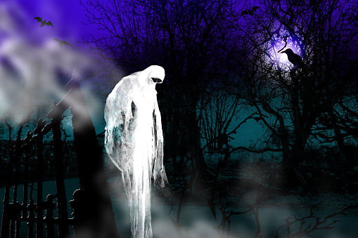 Halloween background. Night in the forest with spooky ghost and flying bats.
