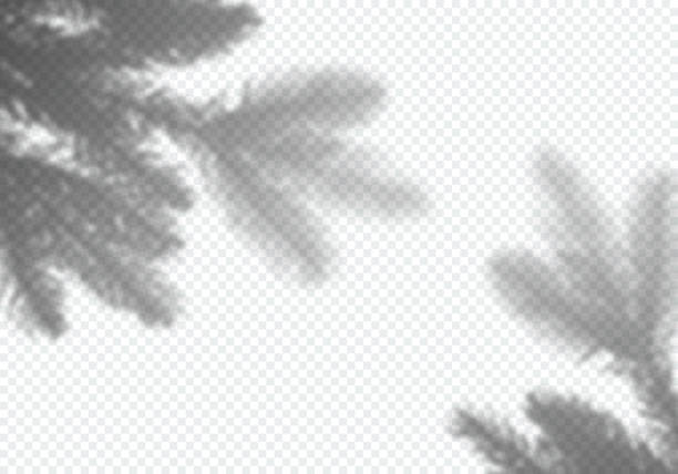 illustrations, cliparts, dessins animés et icônes de ombre vectorielle transparente de l’arbre de noël. - christmastree christmas tree christmas tree