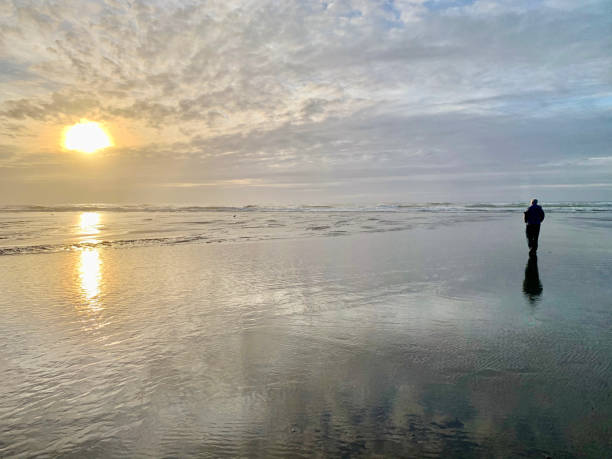 istock Person silhouette on beach 1280937923