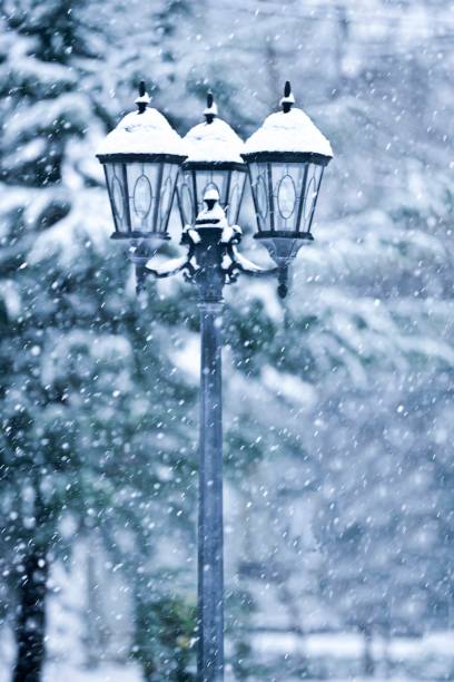 Street lights in the snow