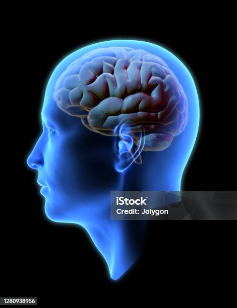3d Human Head With Brain Inside On Dark Bg Stock Photo - Download Image Now  - Human Brain, Abstract, Blue - iStock