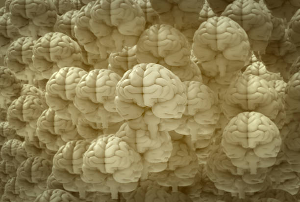 istock 3D rendering crowd of human brain on yellow beige tone 1280939011