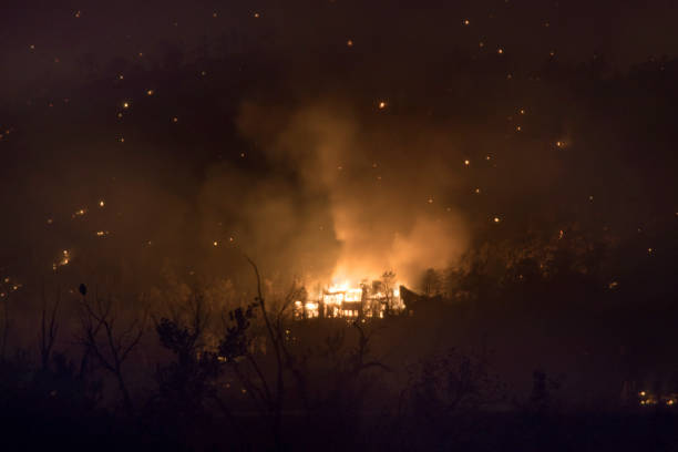 istock CalWood Fire flames burn forest home North Boulder Colorado 1280939278
