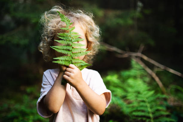 istock Unrecognizable small child outdoors in summer nature, hiding against fern leaf. 1280940030