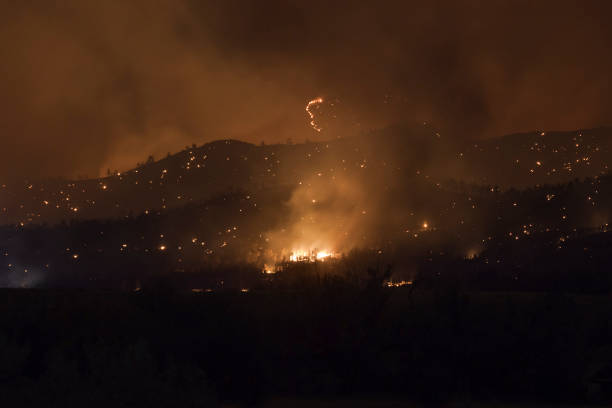 istock CalWood Fire flames burn forest homes North Boulder Colorado 1280940079
