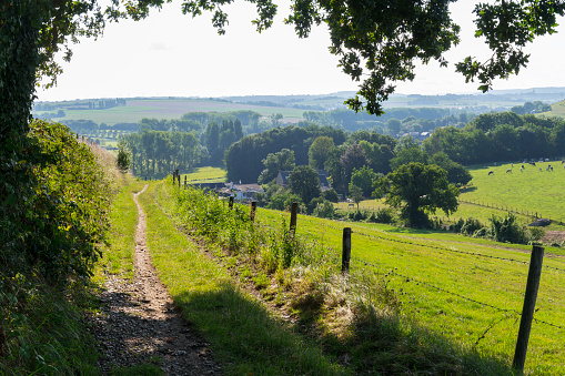 A footpath through the hills of Limburg, Netherlands, during Summer with trees alongside. The location is near the village of Gulpen.