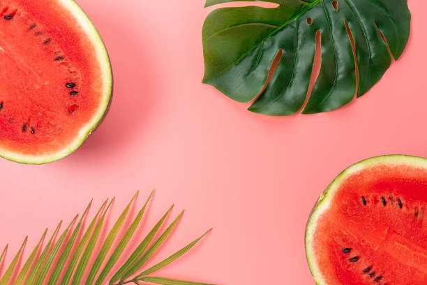 istock Watermelon with palm tree leaf on pink background. Creative minimal summer concept. 1280941034
