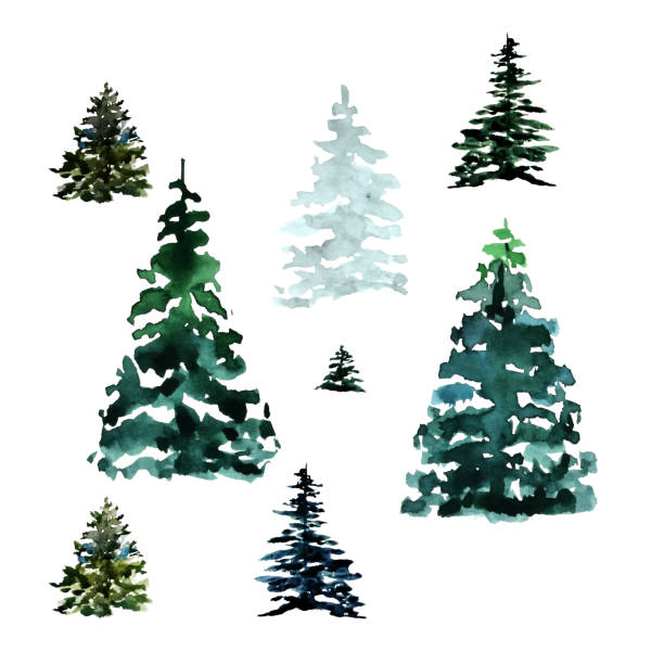 istock Set of Christmas trees of different shapes and shades on a white background. Design Elements for Christmas and Winter Holidays 1280941428