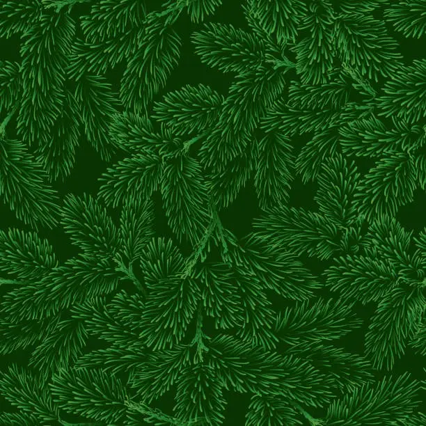 Vector illustration of Vector seamless pattern with green pine branches.