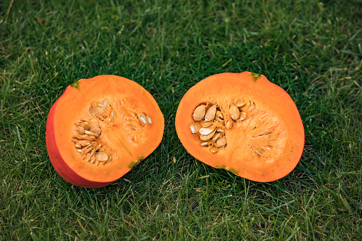 A pumpkin is a healthy, low-calorie meal