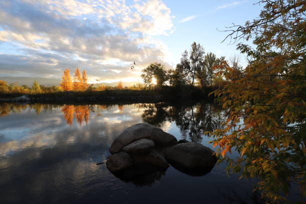 mattina d'autunno sul fiume boise - boise river foto e immagini stock