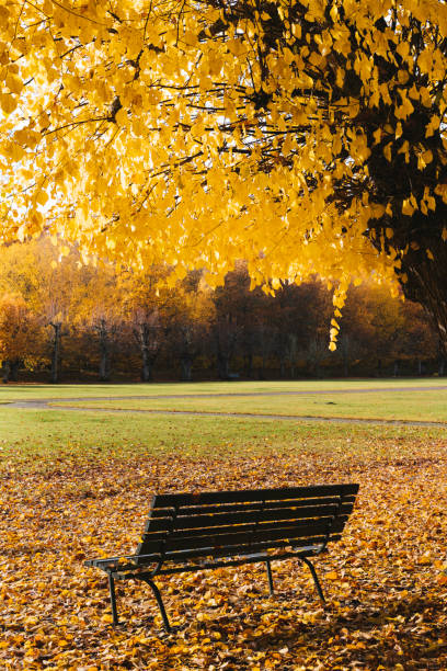 istock Autumn color landscape 1280947790