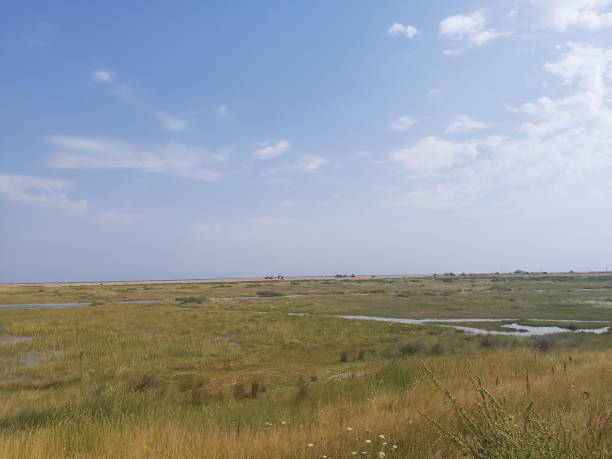 istock View across the Marshlands outside Blakeney in Norfolk 1280948088