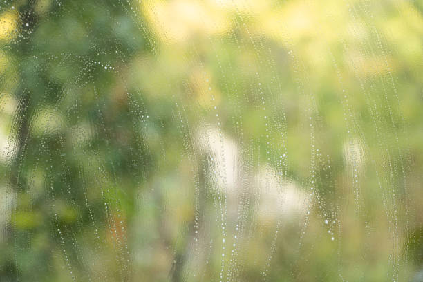 istock Window cleaning with detergent, background texture - chemical soap detergent 1280952558