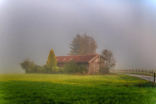 Old barn in fog on a single lane country road at early morning on a beautiful day in autumn