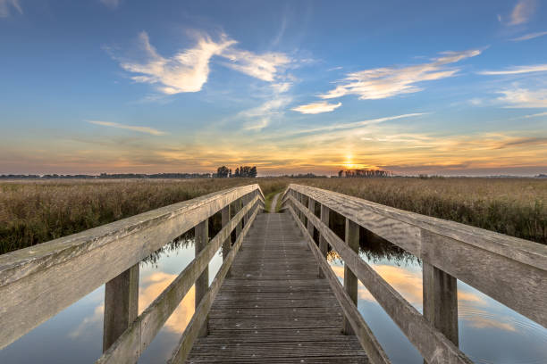istock Wooden bridge for bicycles 1280954715