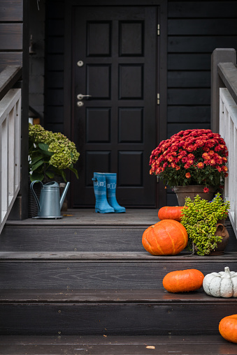 Pumpkins, colorful potted flowers, rain boots on front steps of the house, autumn holidays decoration