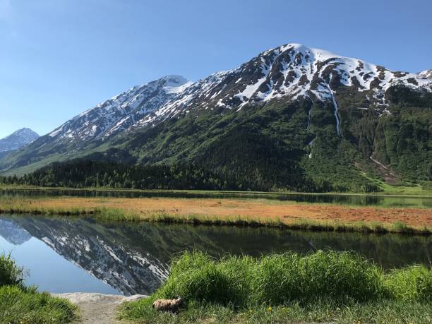 istock Tern Lake Kenai Peninsula Alaska 1280957208