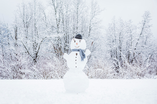 Real looking snowman with snow covered bushes in the background.