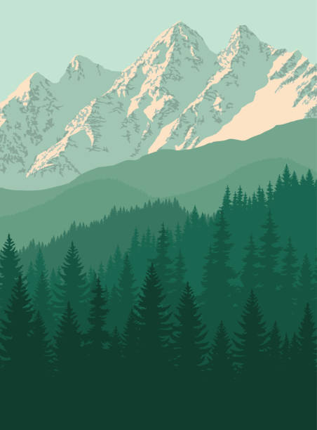 wektorowa góra w lesie na górach skalistych - rocky mountains stock illustrations