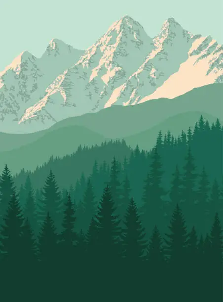 Vector illustration of vector mountain in woodland on Rocky mountains