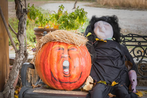 Halloween pumpkin decorated to look like President Donald Trump Penticton, British Columbia/Canada - October  31, 2017: a humorous Hallowe'en display on an outdoor bench, with a pumpkin decorated to look like United States of America President Donald Trump donald trump stock pictures, royalty-free photos & images