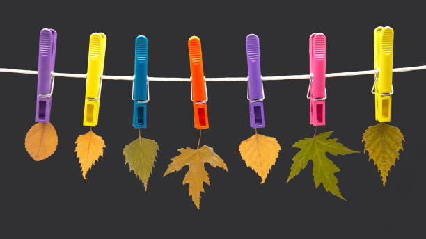 istock autumn dry leaves hang on colored clothespins 1280965725