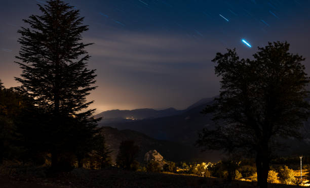 istock Image of isolated trees silhouette with at night with startrail 1280966739