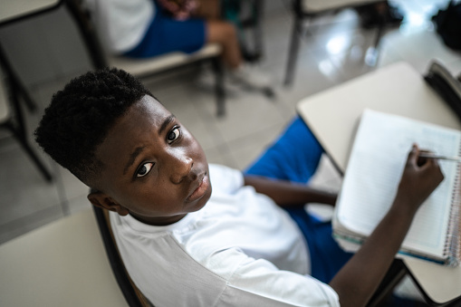 Portrait of a schoolboy in the classroom