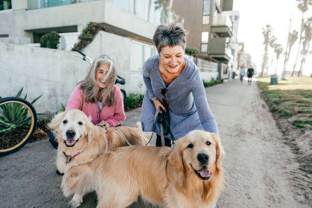 istock Active senior women enjoying the day 1280973280