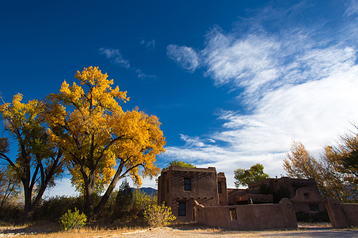 Taos, NM: Cottonwood  trees and an outbuilding on the Mabel Dodge Luhan property in downtown Taos; she was a writer and art patron who lived in Taos for more than 40 years.