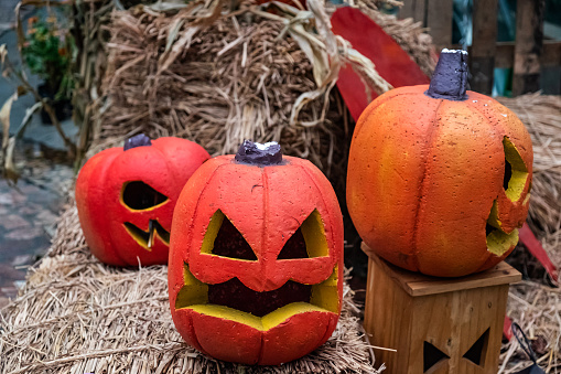 Close up shot of pumpkin Jack-o'-lantern halloween decoration
