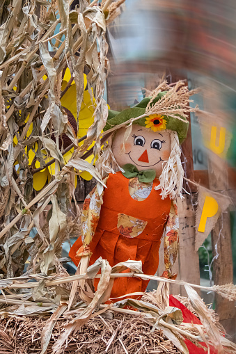 A couple of scarecrows standing within a fall landscape of turning leaves.