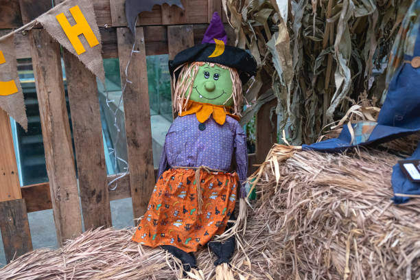 Close up shot of green witch halloween harvest scarecrow decoration above hay