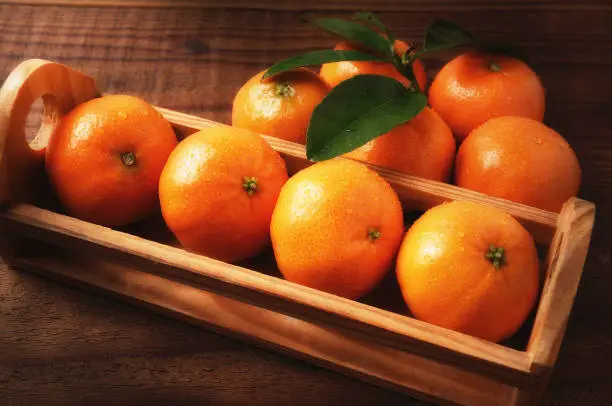 Closeup of a small crate of Mandarin Oranges on a rustic wood table with warm side light.