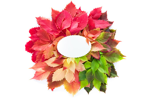 Colorful autumn leaves on rustic wooden background with text - copy space