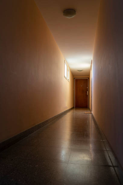 istock Sunlit hallway, with a brown door at the end. 1280978149