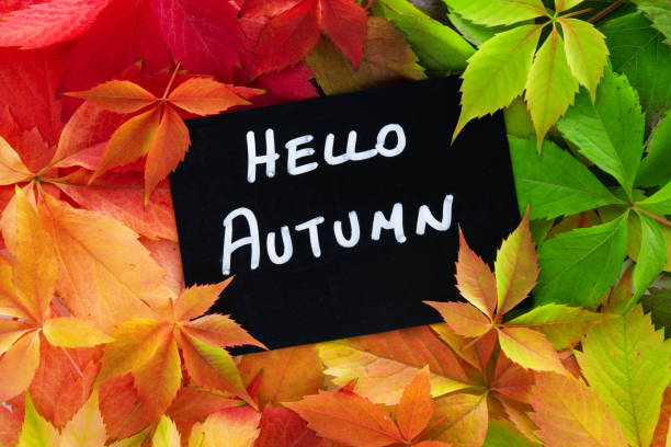 istock Colorful autumn leaves on rustic wooden background with text 1280979227