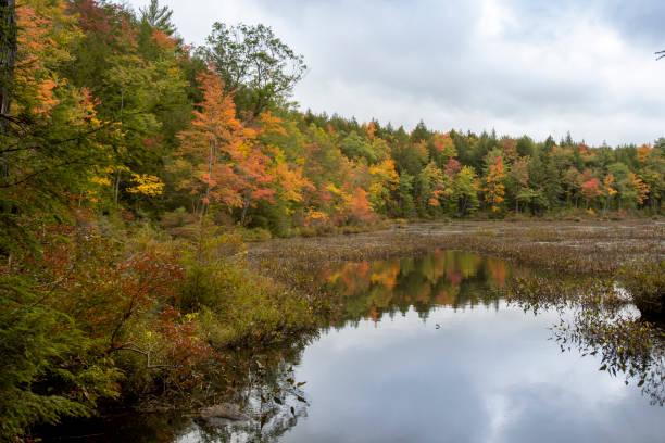 istock Autumn Color Pond Reflections 1280981791