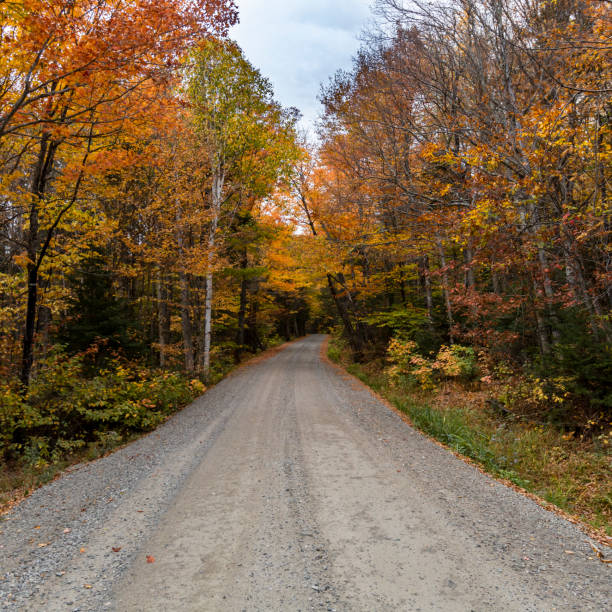 istock New England Autumn on a Dirt Road 1280982552