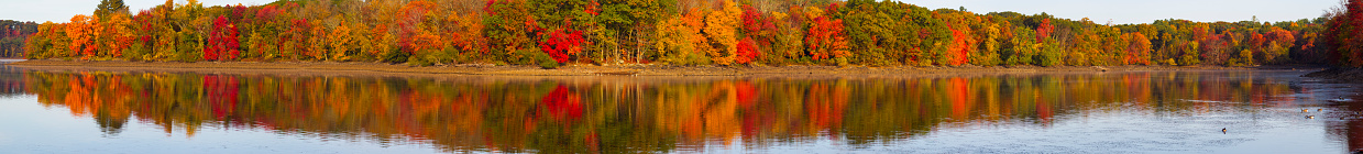 Reflection of Colorful Autumn at a New England Lake, USA
