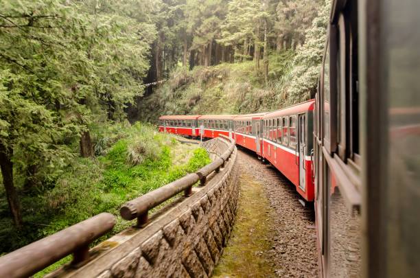 istock Famous rain at Alishan national park, Taiwan 1280991029