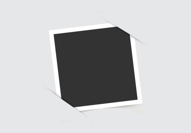 ilustrações de stock, clip art, desenhos animados e ícones de photo frames. template for your photos isolated on gray background. vector illustration. - next to fotos