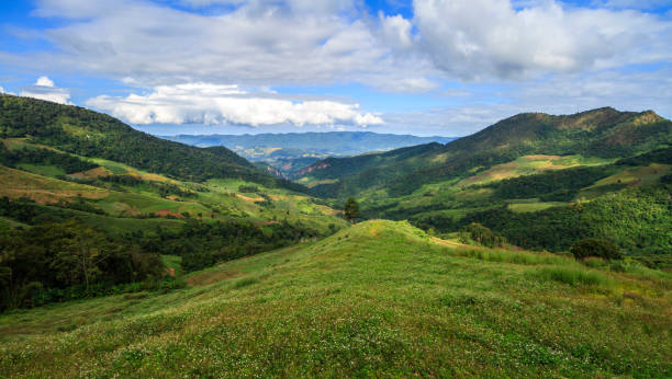 istock A beautiful view of moutain grasslands. 1280997792