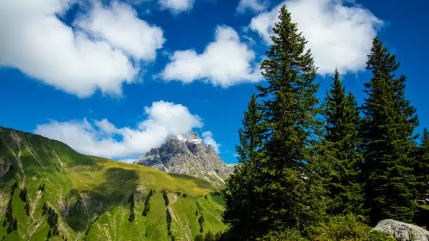 Trees in front of the Großer Widderstein in Vorarlberg, Austria with the blue sky partially covered by clouds.