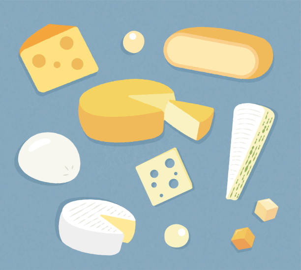 Cheese illustration Set illustration of various cheeses french food stock illustrations