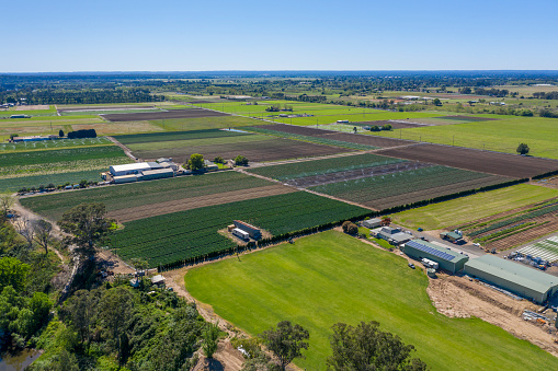 Aerial view of agricultural farmland and crops in regional New South Wales in Australia