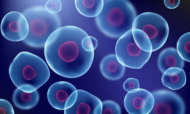 ilustrații de stoc cu bacterii realiste - focalizare în prim plan