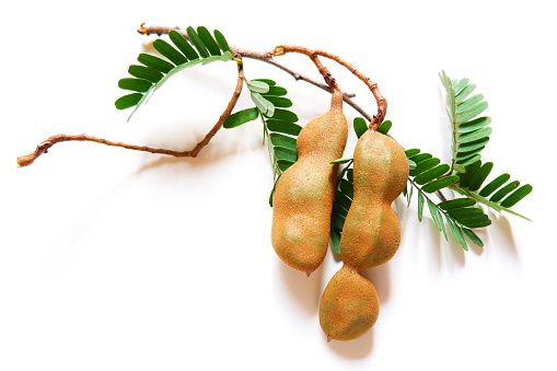 a top close view of fresh tamarind & leaves bunch isolated on plain background