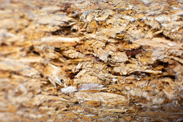 istock Wooden background close up photo. Texture. 1281006207